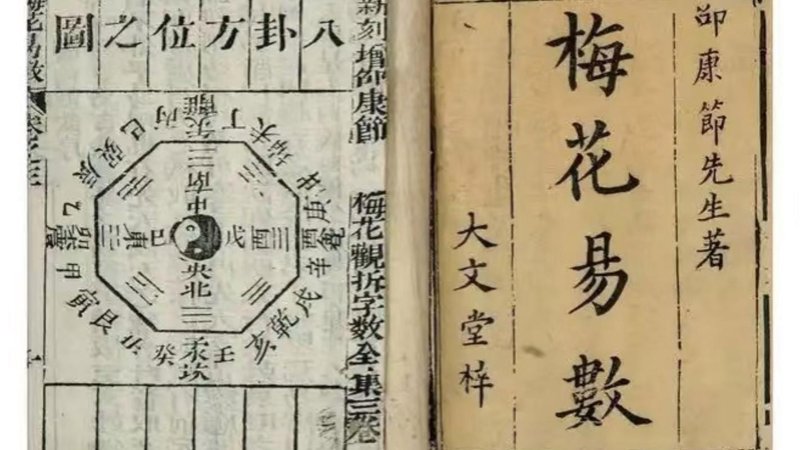 揭秘风水大师的使用技巧：让你居家更顺畅
